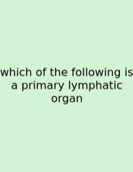 Which Of The Following Is A Primary Lymphatic Organ