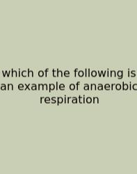 Which Of The Following Is An Example Of Anaerobic Respiration