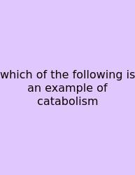 Which Of The Following Is An Example Of Catabolism