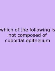 Which Of The Following Is Not Composed Of Cuboidal Epithelium
