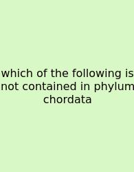 Which Of The Following Is Not Contained In Phylum Chordata