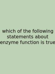 Which Of The Following Statements About Enzyme Function Is True