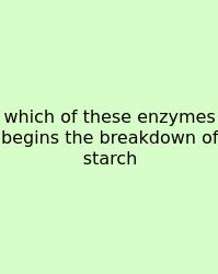 Which Of These Enzymes Begins The Breakdown Of Starch