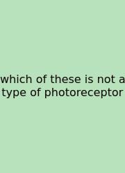 Which Of These Is Not A Type Of Photoreceptor