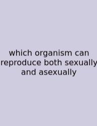 Which Organism Can Reproduce Both Sexually And Asexually