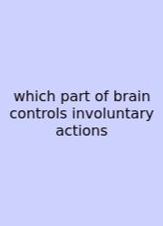 Which Part Of Brain Controls Involuntary Actions