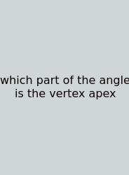 Which Part Of The Angle Is The Vertex Apex