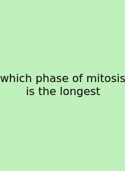 Which Phase Of Mitosis Is The Longest