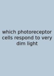 Which Photoreceptor Cells Respond To Very Dim Light