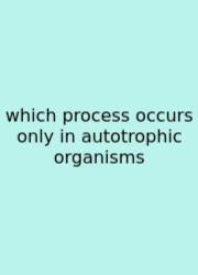 Which Process Occurs Only In Autotrophic Organisms