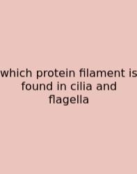 Which Protein Filament Is Found In Cilia And Flagella