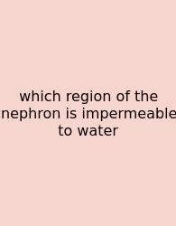 Which Region Of The Nephron Is Impermeable To Water