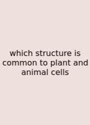 Which Structure Is Common To Plant And Animal Cells