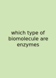 Which Type Of Biomolecule Are Enzymes