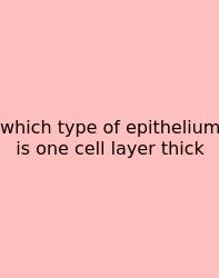 Which Type Of Epithelium Is One Cell Layer Thick