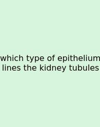 Which Type Of Epithelium Lines The Kidney Tubules