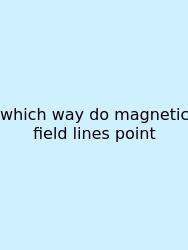 Which Way Do Magnetic Field Lines Point
