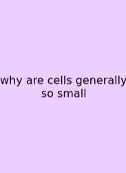 Why Are Cells Generally So Small