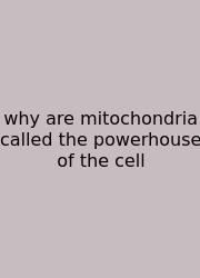 Why Are Mitochondria Called The Powerhouse Of The Cell