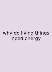 Why Do Living Things Need Energy