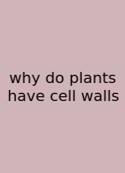 Why Do Plants Have Cell Walls