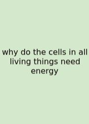 Why Do The Cells In All Living Things Need Energy