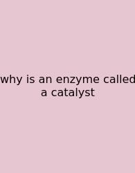 Why Is An Enzyme Called A Catalyst