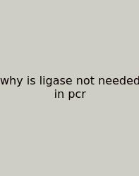 Why Is Ligase Not Needed In Pcr