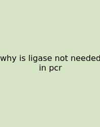 Why Is Ligase Not Needed In Pcr