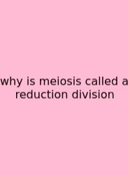 Why Is Meiosis Called A Reduction Division