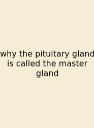 Why The Pituitary Gland Is Called The Master Gland