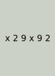 X 2 9 X 9 2